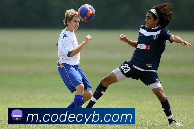 多彩内容专区